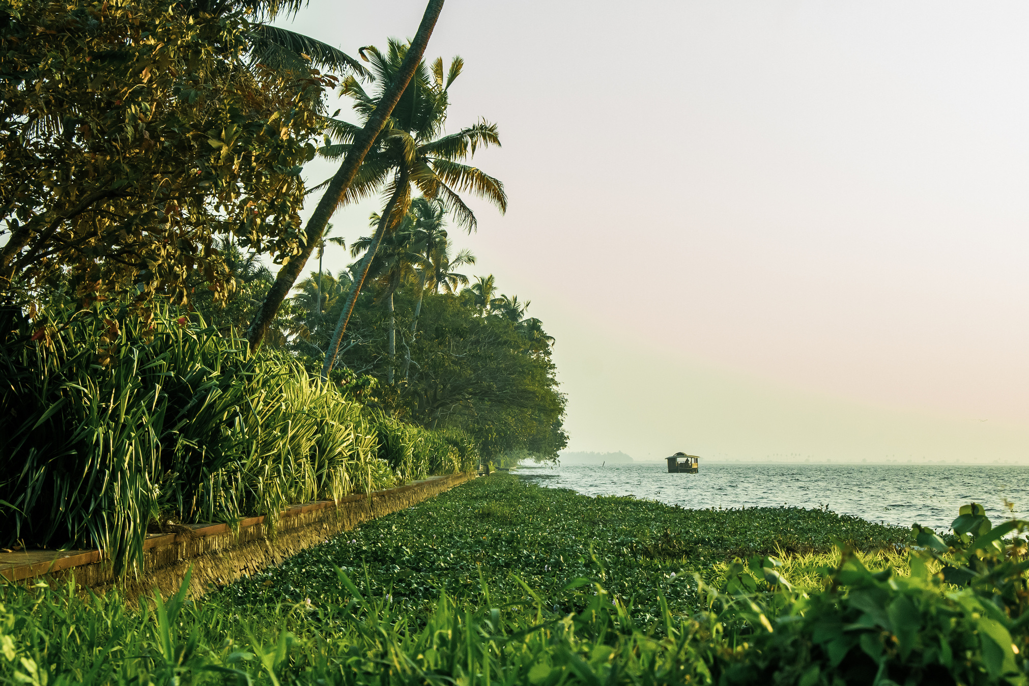 Kerala Backwaters with Palm Trees Landscape