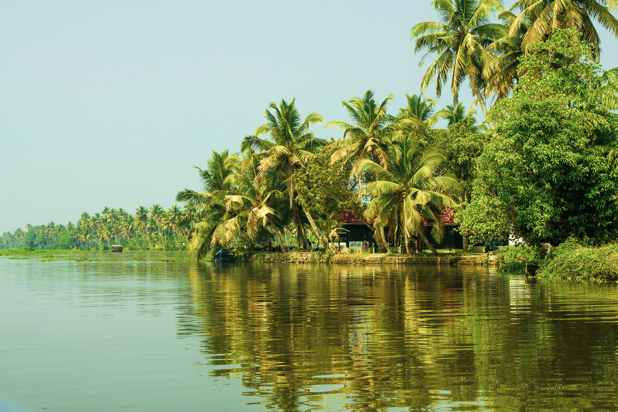 Kerala Backwaters with Palm Trees